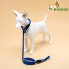 Ринговка для собак, 130×1 см, синяя - Фото 4