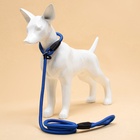 Ринговка для собак, 130×1 см, синяя - Фото 7