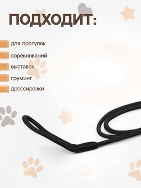 Ринговка для собак, 130×0.6 см, чёрная