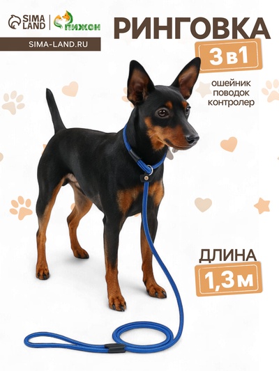 Ринговка для собак, 130×0.6 см, синяя
