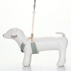 Шлейка с поводком «Веточки», размер L, ОГ 42-76 с, поводок 120×1.5 см, мягкая, серая - Фото 2