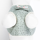 Шлейка с поводком «Веточки», размер L, ОГ 42-76 с, поводок 120×1.5 см, мягкая, серая - Фото 8