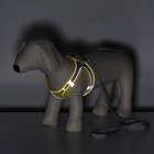 Шлейка с поводком, размер XXS, ОШ 24-26 ОГ 28-30 см, поводок 150×1.5 см, быстросъёмная, мягкая, жёлтая - Фото 11