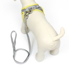 Шлейка с поводком, размер XXS, ОШ 24-26 ОГ 28-30 см, поводок 150×1.5 см, быстросъёмная, мягкая, жёлтая - Фото 3