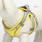 Шлейка с поводком, размер XXS, ОШ 24-26 ОГ 28-30 см, поводок 150×1.5 см, быстросъёмная, мягкая, жёлтая - Фото 5