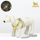 Шлейка с поводком, размер XS, ОШ 29-32 ОГ 31-34 см, поводок 150×1.5 см, быстросъёмная, мягкая, жёлтая - Фото 1