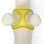 Шлейка с поводком, размер XS, ОШ 29-32 ОГ 31-34 см, поводок 150×1.5 см, быстросъёмная, мягкая, жёлтая - Фото 6