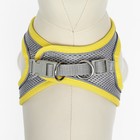 Шлейка с поводком, размер XS, ОШ 29-32 ОГ 31-34 см, поводок 150×1.5 см, быстросъёмная, мягкая, жёлтая - Фото 7