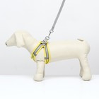 Шлейка с поводком, размер S, ОШ 33-36 ОГ 35-40 с, поводок 150×1.5 см, быстросъёмная, мягкая, жёлтая - Фото 2