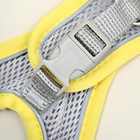 Шлейка с поводком, размер S, ОШ 33-36 ОГ 35-40 с, поводок 150×1.5 см, быстросъёмная, мягкая, жёлтая - Фото 8