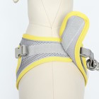 Шлейка с поводком, размер S, ОШ 33-36 ОГ 35-40 с, поводок 150×1.5 см, быстросъёмная, мягкая, жёлтая - Фото 9