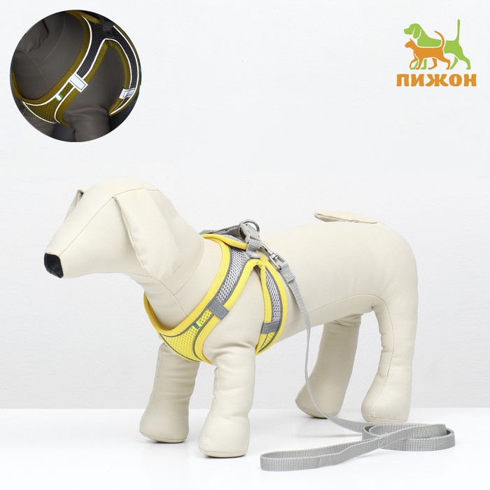 Шлейка с поводком, размер M, ОШ 38-44 см, ОГ 44-50 см, поводок 140×1.5 см, быстросъёмная, мягкая, жёлтая - Фото 1