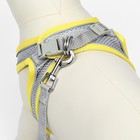 Шлейка с поводком, размер M, ОШ 38-44 см, ОГ 44-50 см, поводок 140×1.5 см, быстросъёмная, мягкая, жёлтая - Фото 3