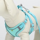 Комплект с мягкой шлейкой, быстросъемный, S, поводок 140 см, ОШ 39-41 ОГ 44-48 см, бирюзовый - Фото 5
