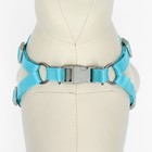 Комплект с мягкой шлейкой, быстросъемный, S, поводок 140 см, ОШ 39-41 ОГ 44-48 см, бирюзовый - Фото 7