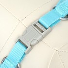 Комплект с мягкой шлейкой, быстросъемный, S, поводок 140 см, ОШ 39-41 ОГ 44-48 см, бирюзовый - Фото 8