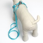 Комплект с мягкой шлейкой, быстросъемный, M, поводок 140 см, ОШ 44-48 ОГ 51-60 см, бирюзовый - Фото 3