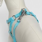 Комплект с мягкой шлейкой, быстросъемный, M, поводок 140 см, ОШ 44-48 ОГ 51-60 см, бирюзовый - Фото 4