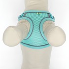 Комплект с мягкой шлейкой, быстросъемный, M, поводок 140 см, ОШ 44-48 ОГ 51-60 см, бирюзовый - Фото 6