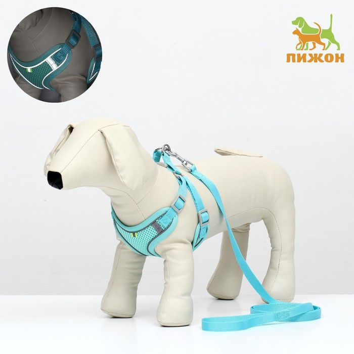 Комплект с мягкой шлейкой, быстросъемный, L, поводок 140 см, ОШ 49-56 ОГ 56-68 см, бирюзовый - Фото 1
