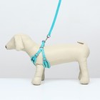 Комплект с мягкой шлейкой, быстросъемный, L, поводок 140 см, ОШ 49-56 ОГ 56-68 см, бирюзовый - Фото 2