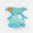 Комплект с мягкой шлейкой, быстросъемный, L, поводок 140 см, ОШ 49-56 ОГ 56-68 см, бирюзовый - Фото 11