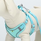 Комплект с мягкой шлейкой, быстросъемный, L, поводок 140 см, ОШ 49-56 ОГ 56-68 см, бирюзовый - Фото 5