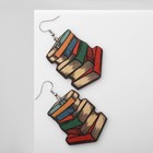 Серьги «Школа» кипа книг, цветные в серебре - фото 10970423