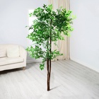 Дерево искусственное «Шеффлера», h=140 см - фото 51764531