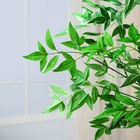 Дерево искусственное «Шеффлера», h=140 см - фото 51764532