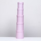 Набор круглых коробок 5 в 1 "Пыльная роза", 20 х 20 - 15 х 15 9227634 - фото 16352774