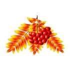 Плакат фигурный "Рябина осенняя" ягоды, 20х13 см - фото 320262633