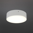 Светильник настенно-потолочный Evon LED 3000K 12Вт - Фото 2