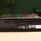 Подарочный набор новогодний «Все мечты сбудутся»:Чай новогодний чёрный 50 г, крем-мед с клубникой 120 г, носки 36 - 39 размер, термос 500 мл. - Фото 8