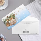 Почтовый конверт-евро "Новогодний - 5" шишки, 23х12 см - фото 11333823