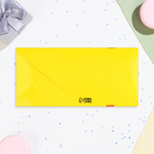 Конверт для денег "С Днём Рождения!" красный бант, 16,5х8 см 9914671