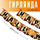 Гирлянда на ленте «Happy Halloween», тыквы, длина 250 см - фото 11121093