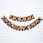 Гирлянда на ленте на Хэллоуин «Happy Halloween», тыквы, длина 250 см. - фото 25555346