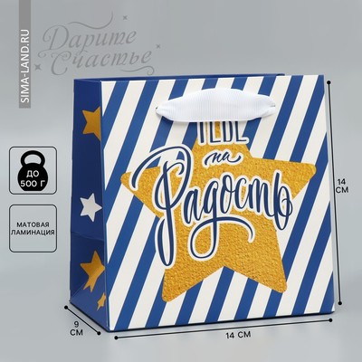 Пакет подарочный ламинированный квадратный, упаковка, «Тебе на радость», 14 х 14 х 9 см
