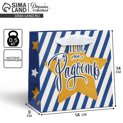 Пакет подарочный ламинированный квадратный, упаковка, «Тебе на радость», 14×14×9 см