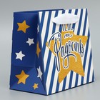 Пакет подарочный ламинированный квадратный, упаковка, «Тебе на радость», 14 х 14 х 9 см - Фото 3