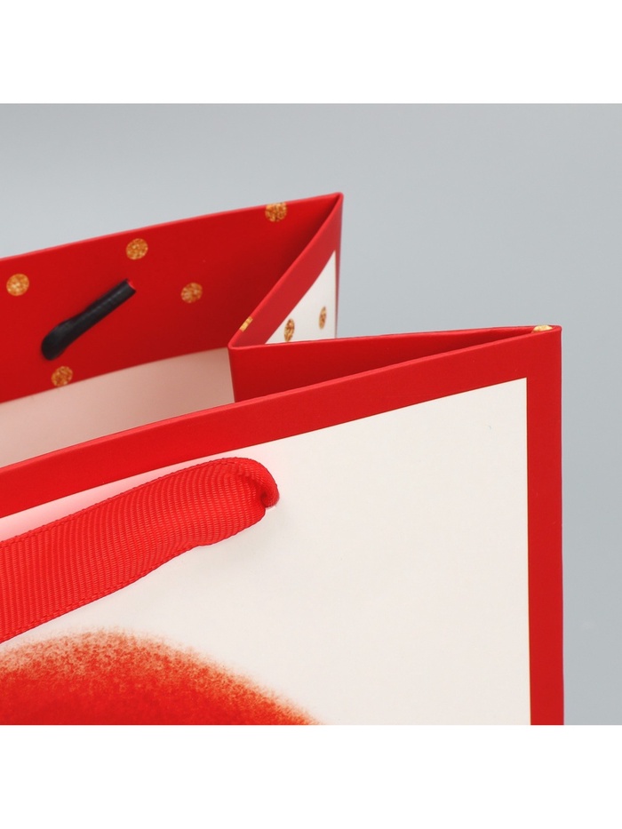 Пакет ламинированный квадратный «Хеппи пездей», 22 × 22 × 11 см 9442057