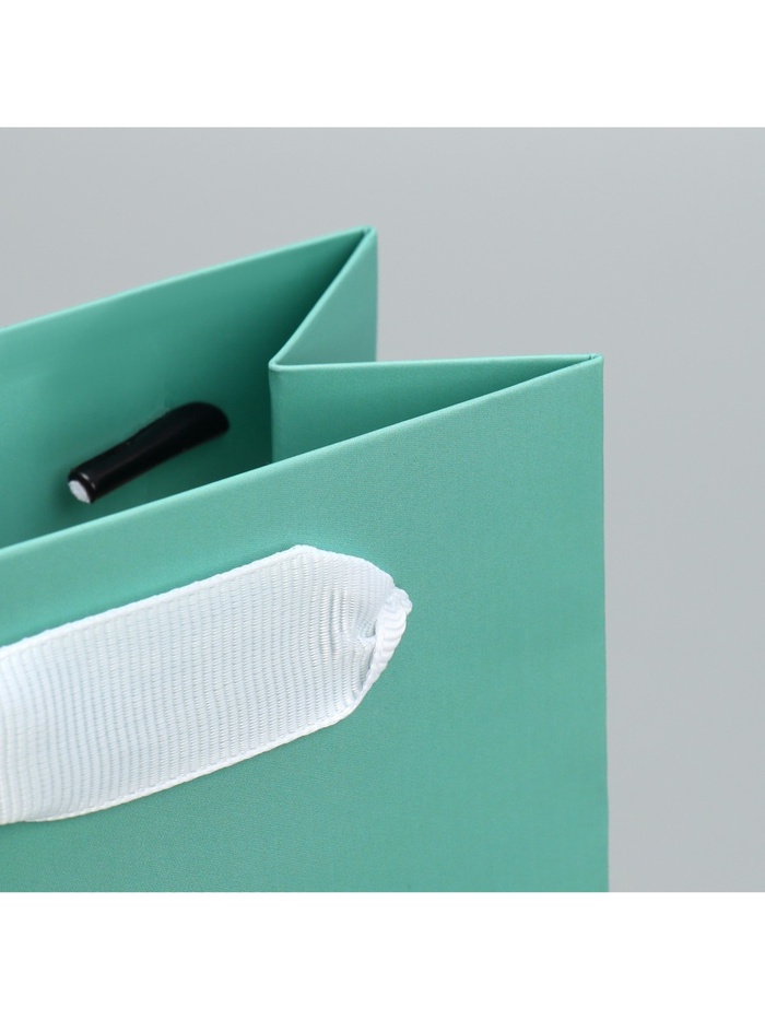 Пакет ламинированный «Подарок», 10 × 22 × 6 см 9590657