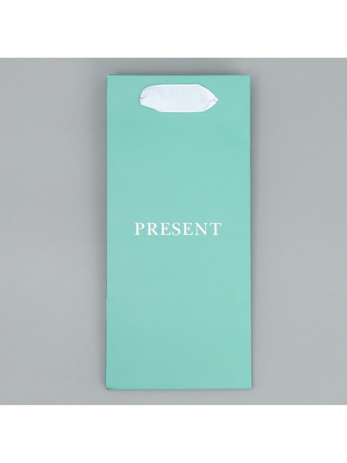 Пакет ламинированный «Подарок», 10 × 22 × 6 см 9590657