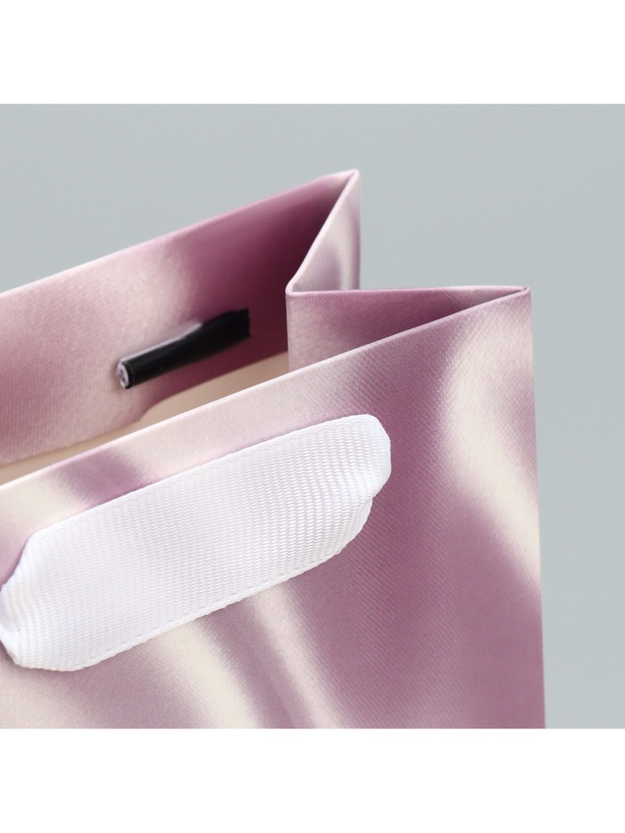 Пакет ламинированный Present for you, 10 × 22 × 6 см 9590658