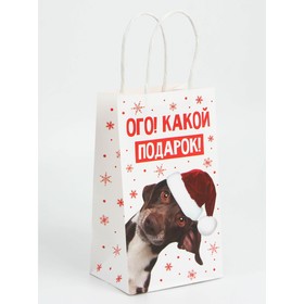 Набор новогодних крафтовых пакетов «Ого! Какой подарок!»
