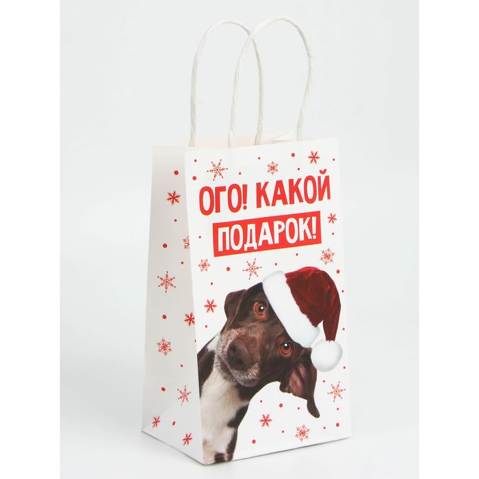 Набор новогодних крафтовых пакетов «Ого! Какой подарок!»