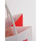 Набор новогодних крафтовых пакетов «С Новым годом тебя!» 9631244