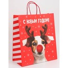 Набор новогодних крафтовых пакетов «С Новым годом тебя!» 9631244