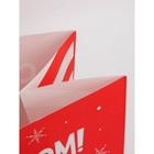 Набор новогодних крафтовых пакетов «С Новым годом тебя!» 9631244